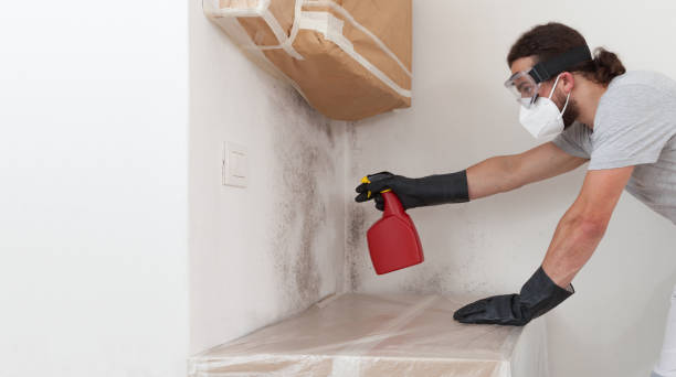 Professional Mold Remediation technician working in Williamsburg, VA