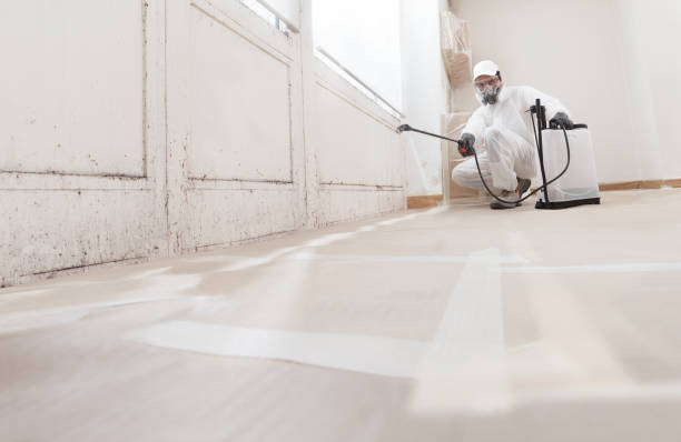24/7 Emergency Mold Remediation experts in Williamsburg, VA